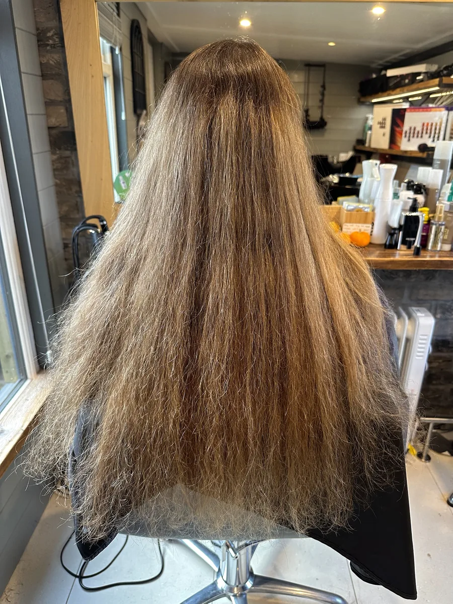Before: long, dry brown hair refreshed to honey balayage with soft waves